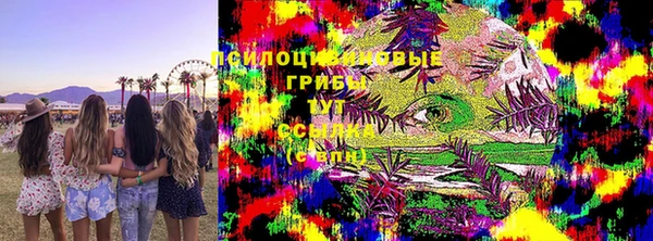 ALPHA PVP Остров