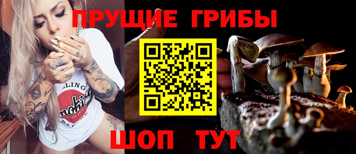 Галлюциногенные грибы прущие грибы  Галлюциногенные грибы Magic Shrooms  Белово  Вход с VPN 