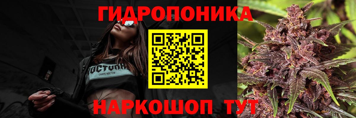 Конопля план  Каннабис сатива  Вход с VPN  Белово  Бошки Шишки Bruce Banner 